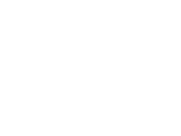 Logo minisite